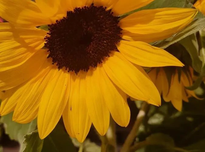 Antonny Appartamento Zvekovica